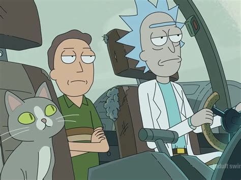 Rick and Morty — Talking Cats true meaning finally revealed